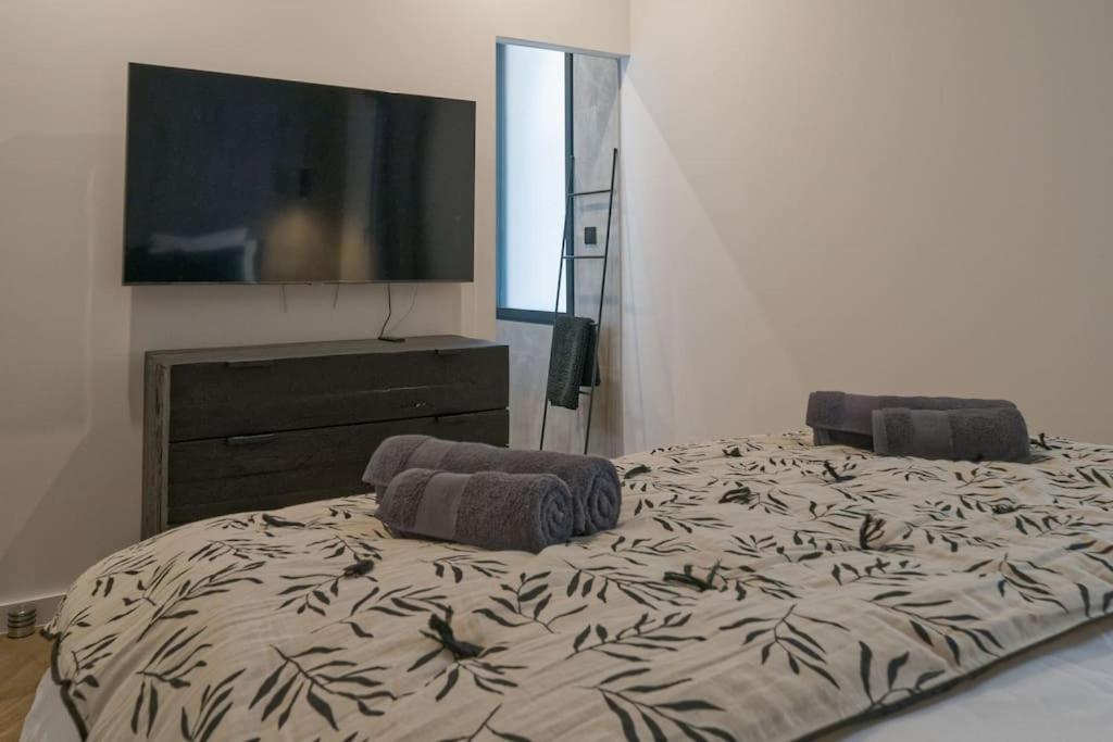 Appartement D'Exception En Centre Ville Sur Quai Sete Ngoại thất bức ảnh